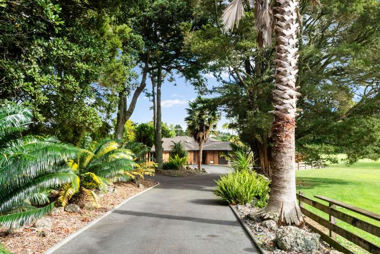 417 Three Mile Bush Road Kamo_5