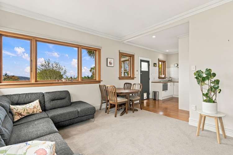 55 English Avenue Mornington_6