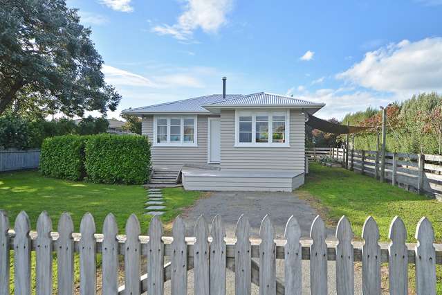 1a Dublin Street Martinborough_1