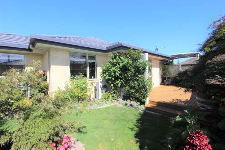 19 Korari Grove Redwoodtown_6