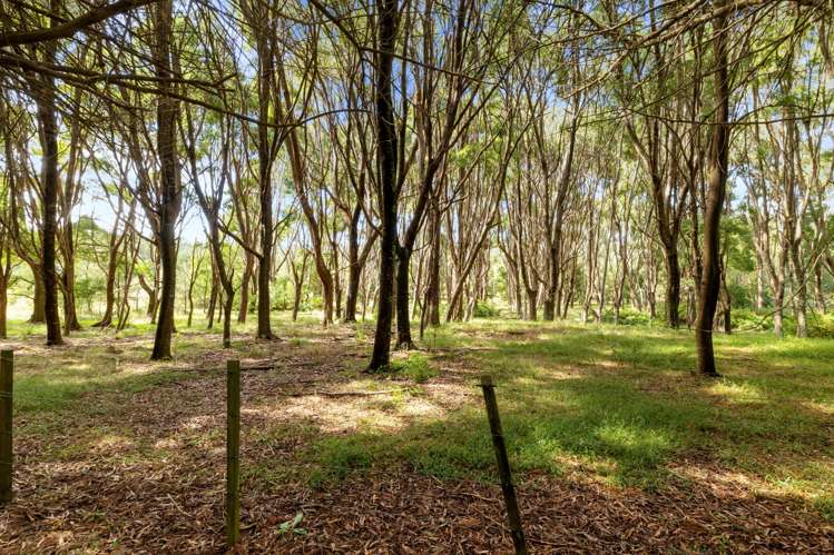 347a Black Swamp Road Mangawhai_20