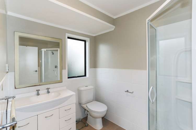 102 Miller Road Onewhero_10