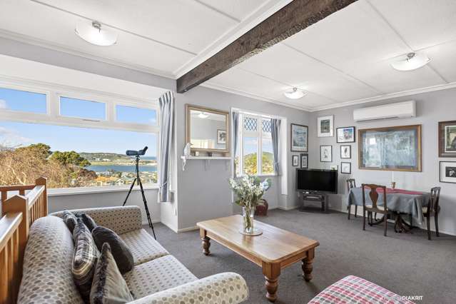 13 Rakau Road Hataitai_2