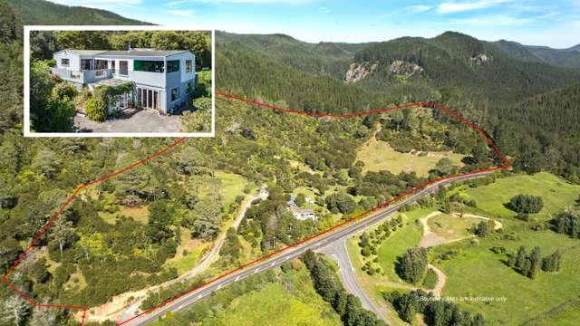 896A Hikuai Settlement Road Pauanui_3