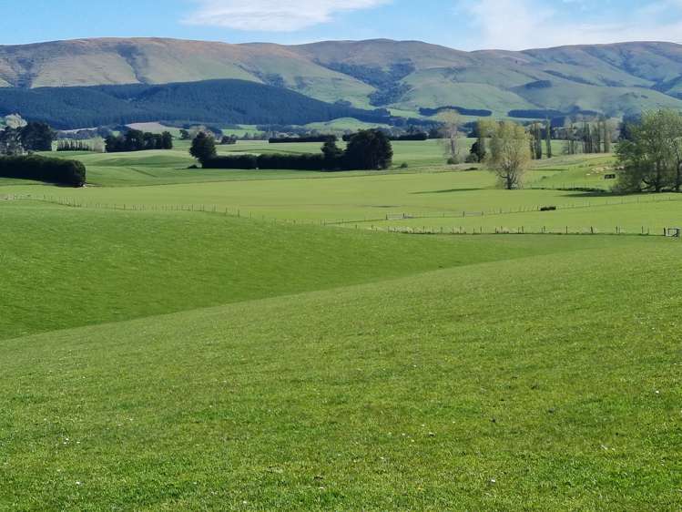 199 Moa Hill Road Clinton and Surrounds_21