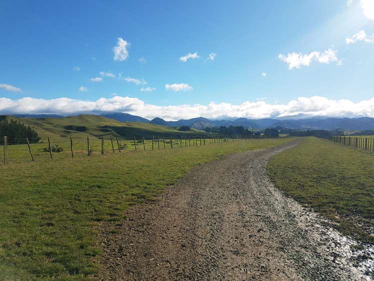 76064 State Highway 2 Rangitikei Surrounds_5