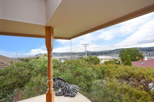 164 Larnach Road Waverley_3