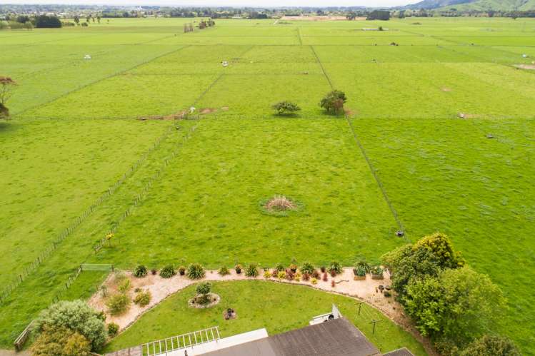 279 Tararua Road Levin_2