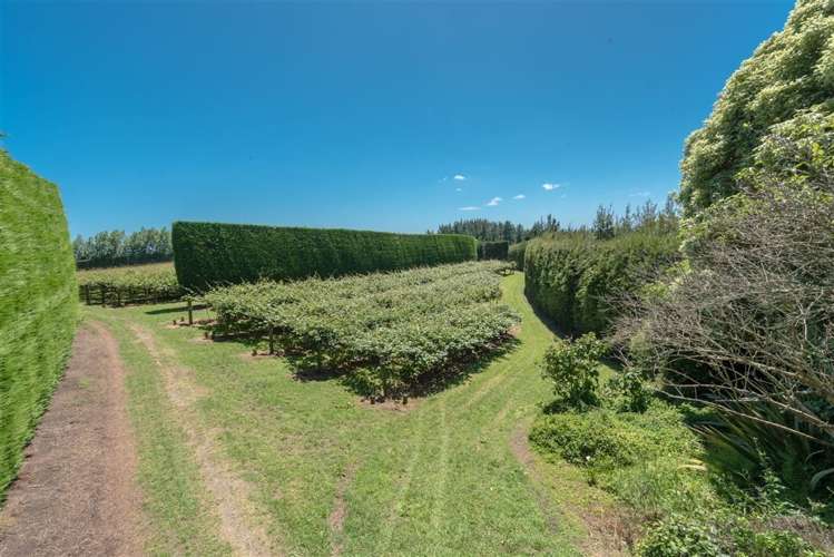 795 Pokuru Road Te Awamutu_3