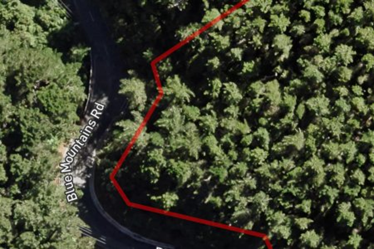 Blue Mountains Road_0