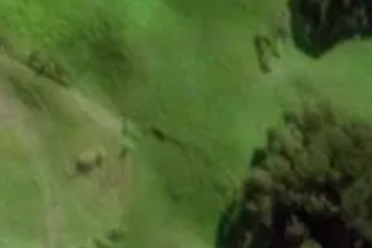 Anderson Park Drive_0