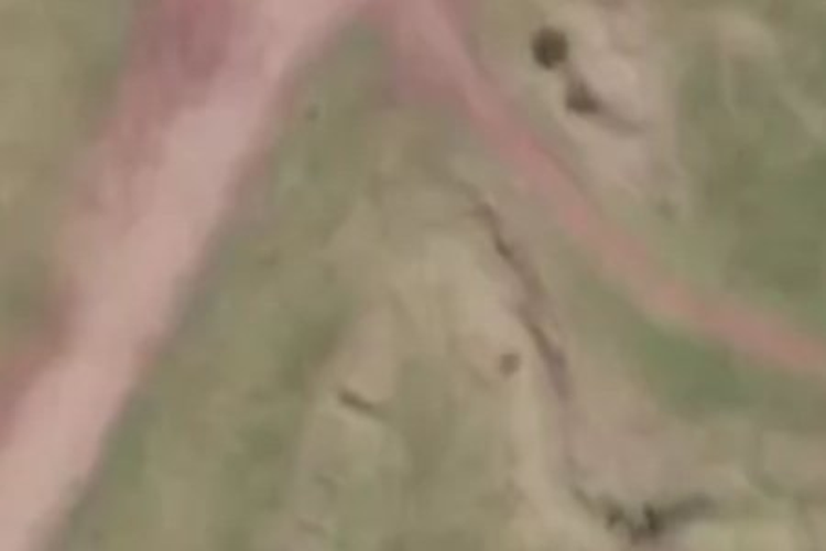 8 Makomako Crescent_0