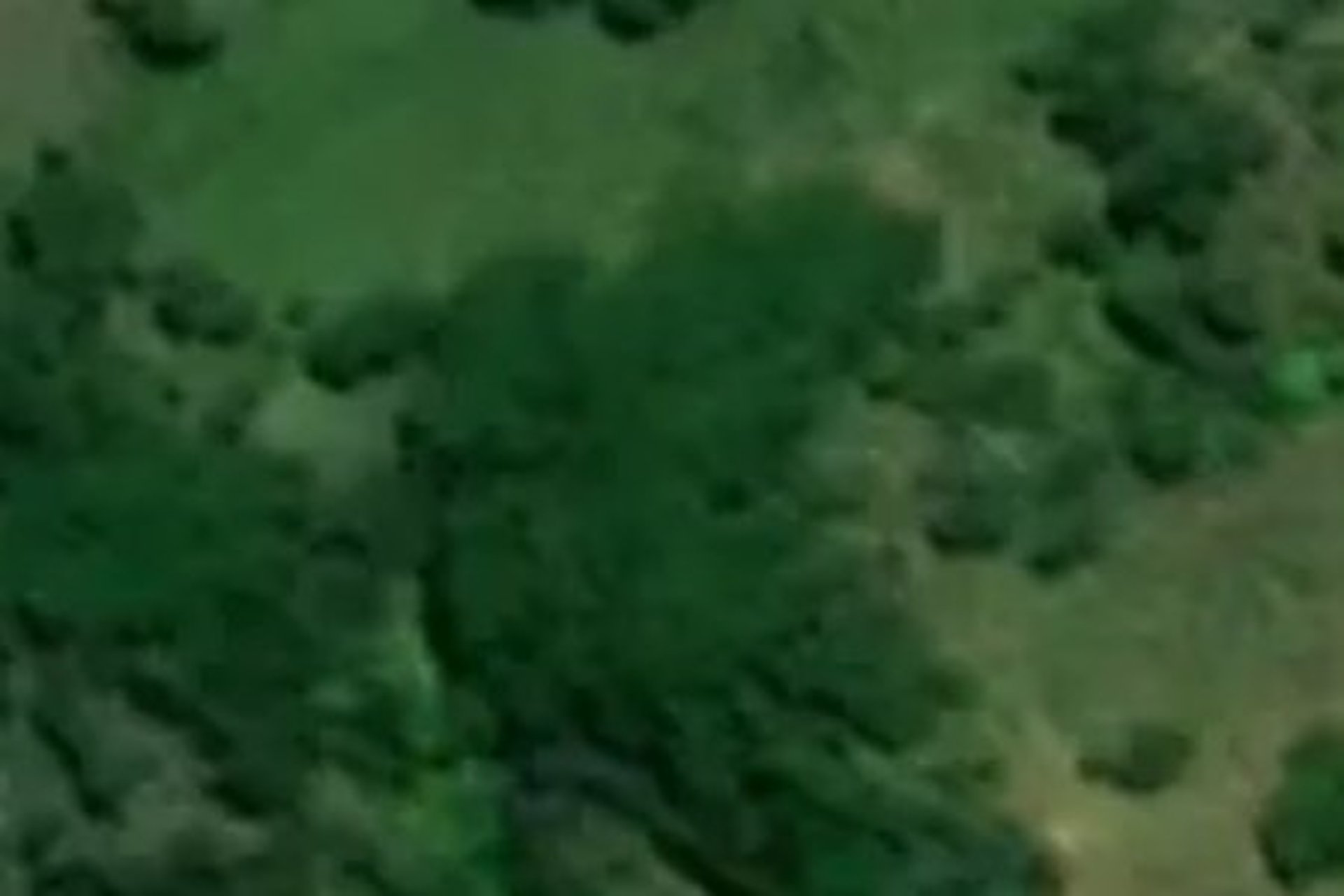 2424 Wairamarama Onewhero Road Onewhero_0