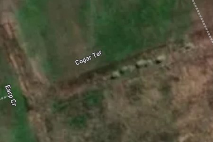 25 Cogar Terrace_0