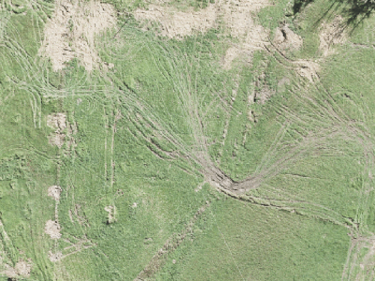 28 Kaupeka Road_0