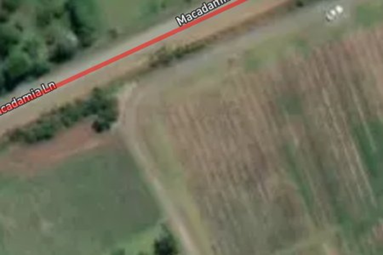5 Macadamia Lane_0