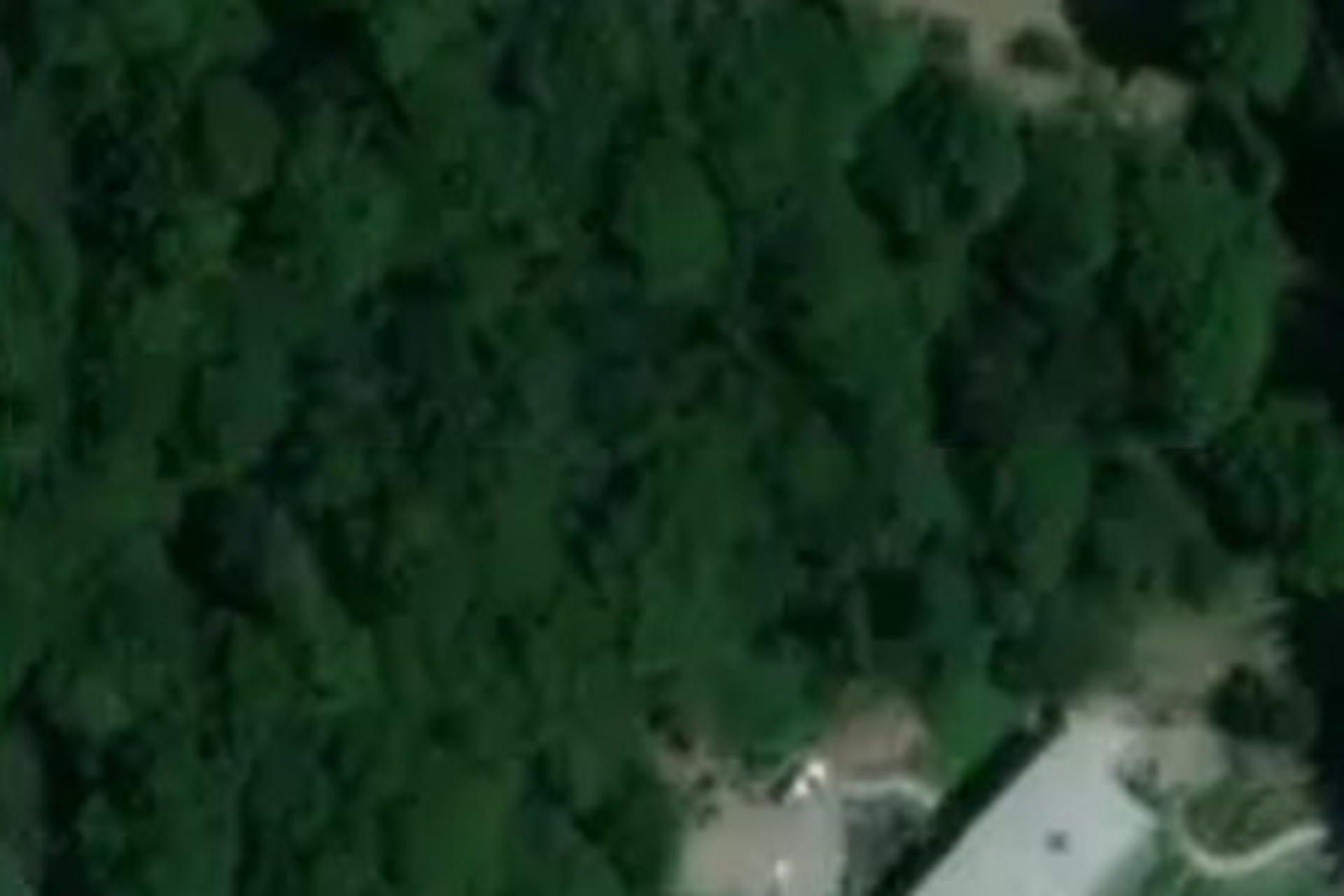 254a Ngunguru Road Glenbervie_0