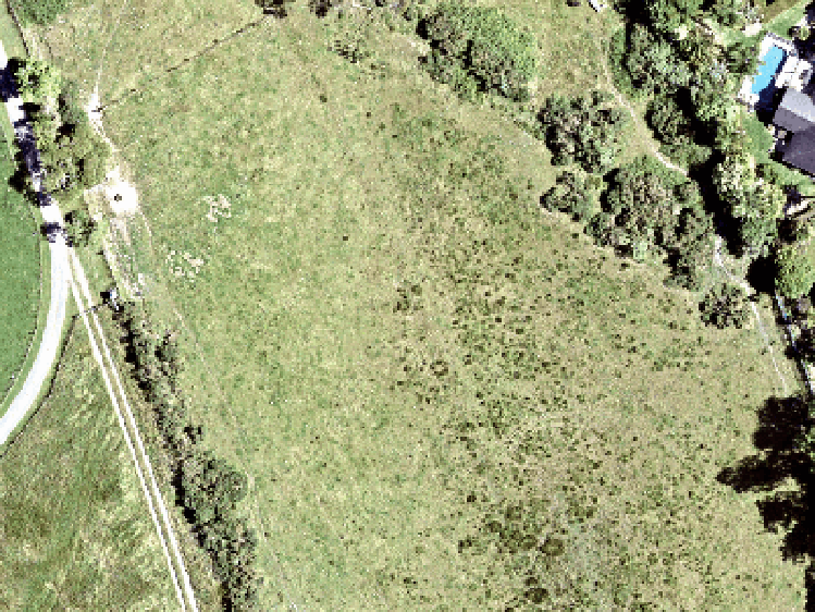 6 Acorn Parish Lane_0