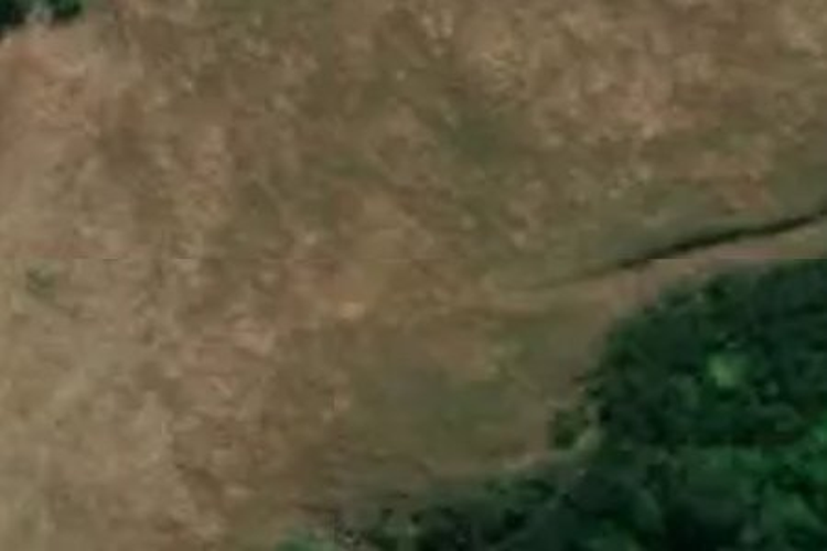 Tutaekara Road_0