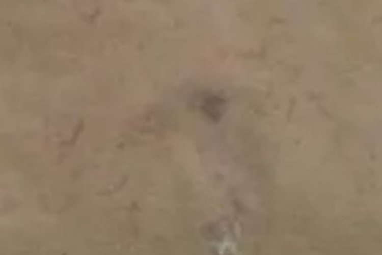 Clutha Valley Road_0