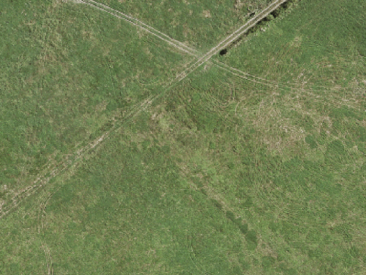 9 Bannockburn Road_0