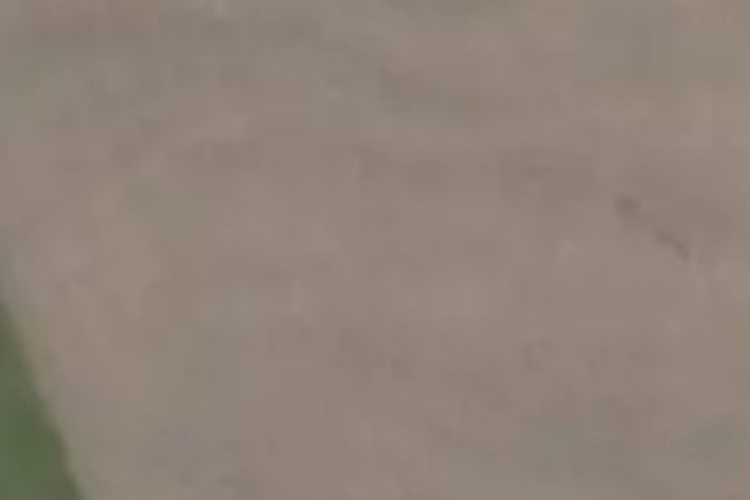 1075 Clayton Road_0