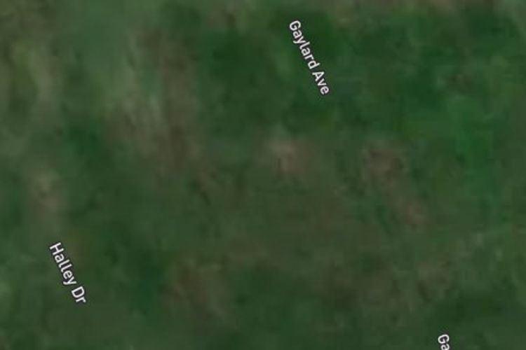 17 Gaylard Avenue_0