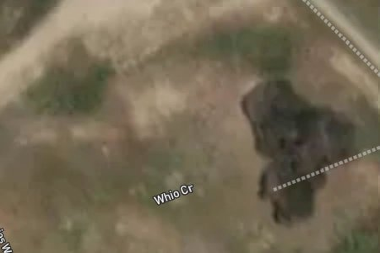 5 Whio Crescent_0