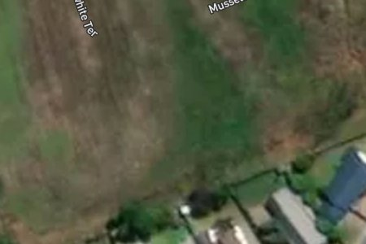 1/7 Musselwhite Terrace_0
