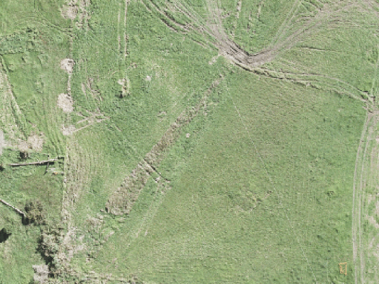 25 Kaupeka Road_0