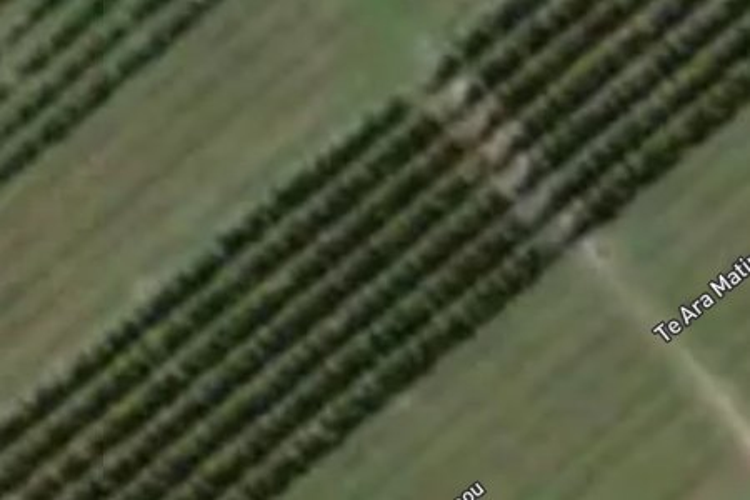 10 Arihi Crescent_0