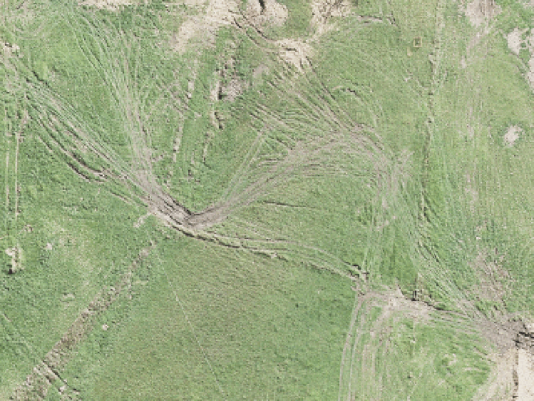 24 Kaupeka Road_0