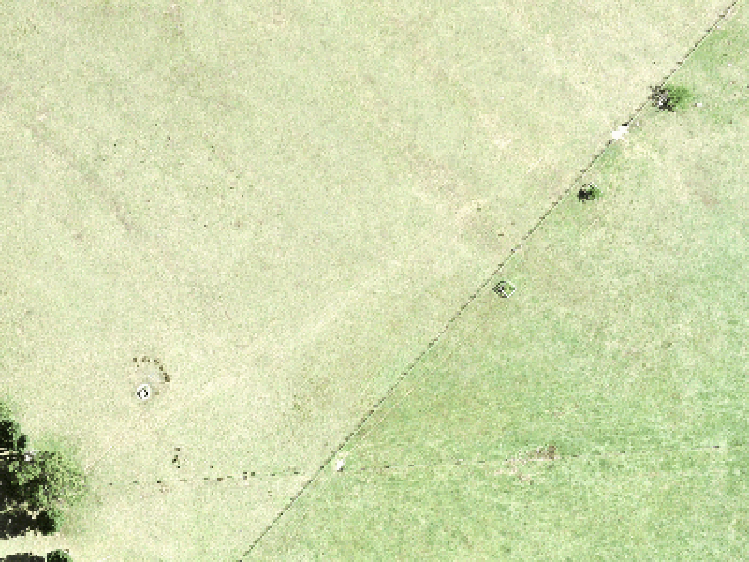 60 Mataikokako Loop_0