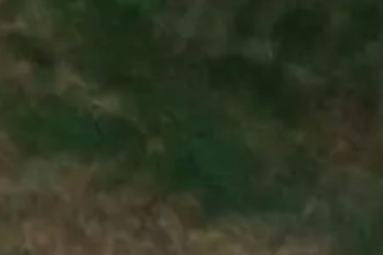 Ashworth Bush Road_0