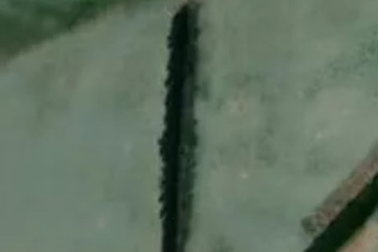 87 Jessons Road_0