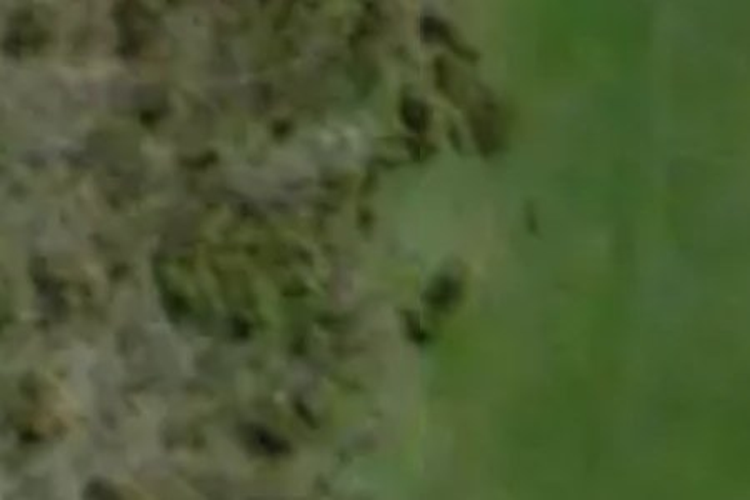 32 Emeline Chapman Drive_0