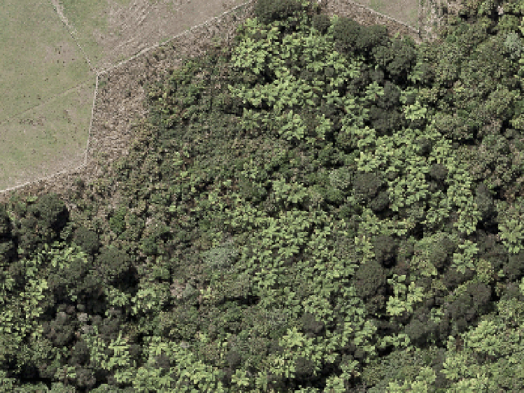 1030a Pohuehue Road_0
