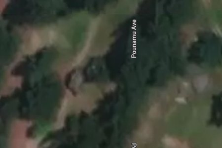 65 Pounamu Avenue_0