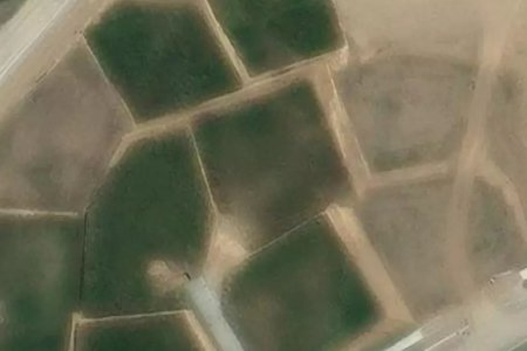 24 Cunningham Lane_0