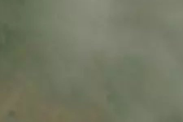 2626 Kaiuma Bay Road_0