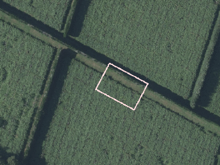 4 Tauroa Drive_0