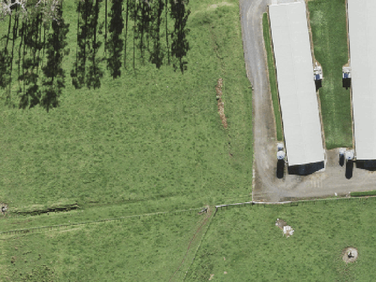 13 Greenbrier Street_0