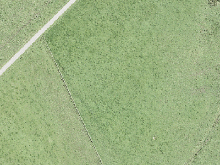 65 Tipu Crescent_0