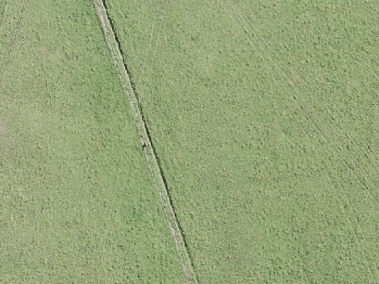 135 Dendro Ring Road_0