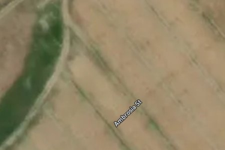 16 Ambrosia Street_0