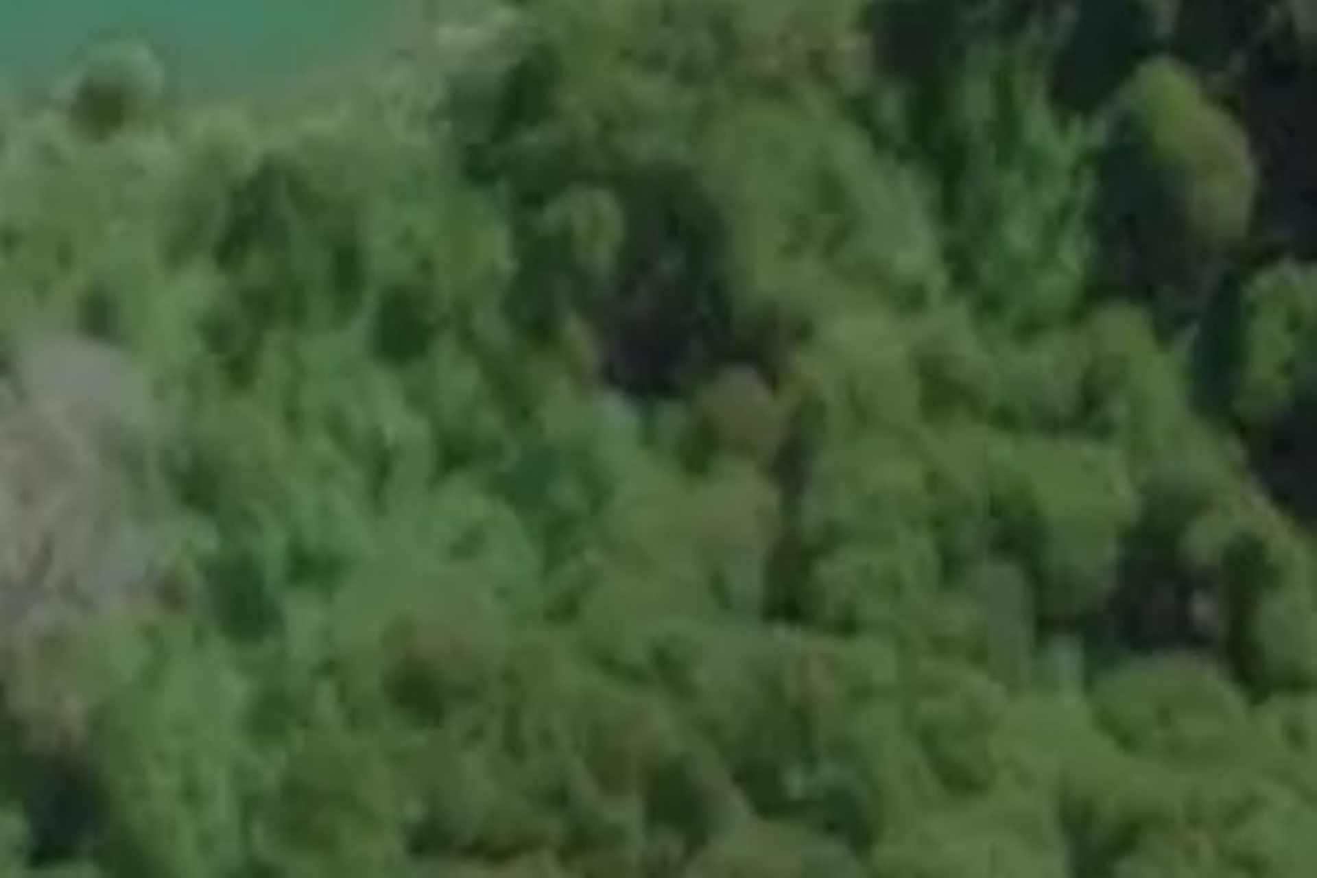 Sold Lot 22 Tawa Bay Queen Charlotte Sound Marlborough on