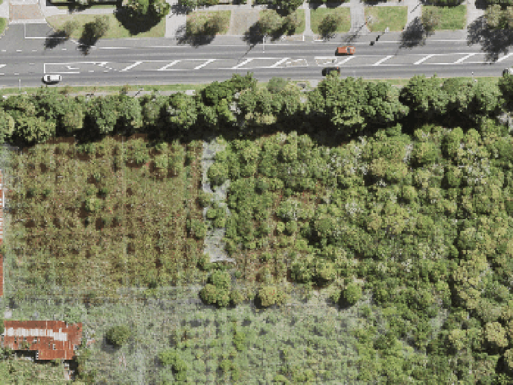 43 Yozin Road_0
