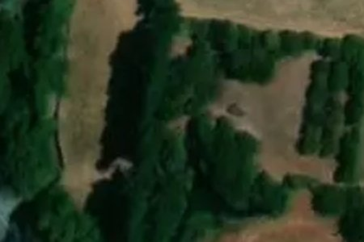 1934c Telegraph Road_0