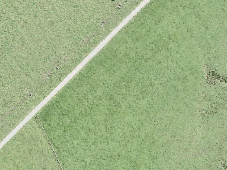 Wainui_0