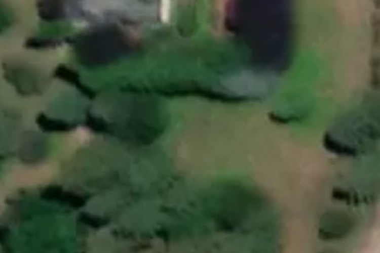 1470 Whirinaki Valley Road_0